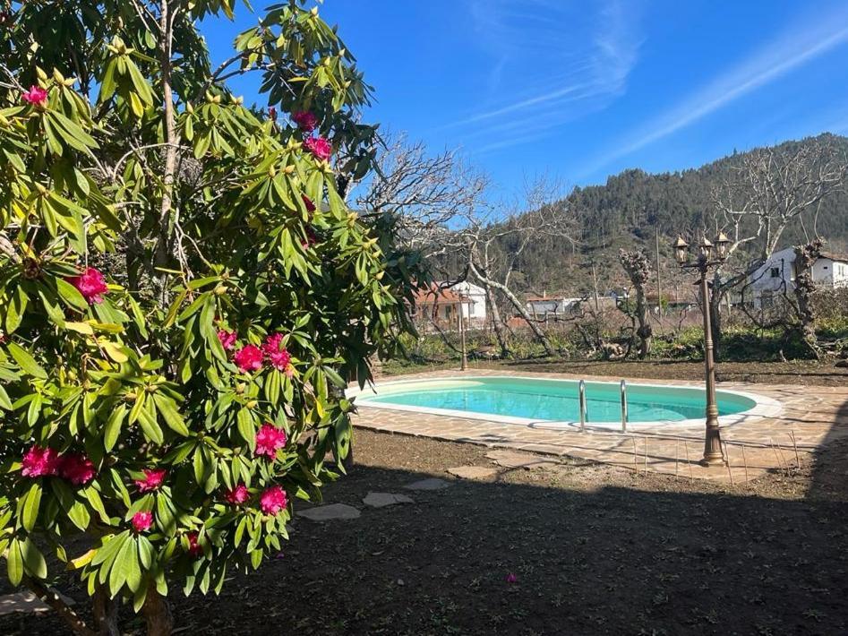 Casa Do Adro-Passadicos Do Paiva Arouca Villa Dış mekan fotoğraf